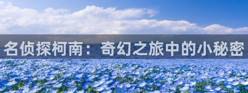 哈哩哈哩热门动漫有哪些