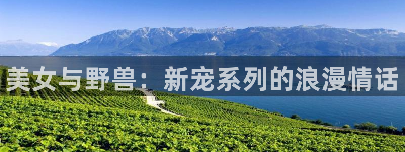 哈哩哈哩在免费观看