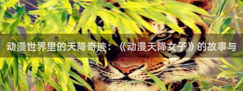 哈哩哈哩动漫官方网站