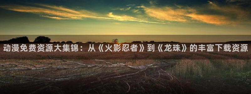 哈哩哈哩电视剧