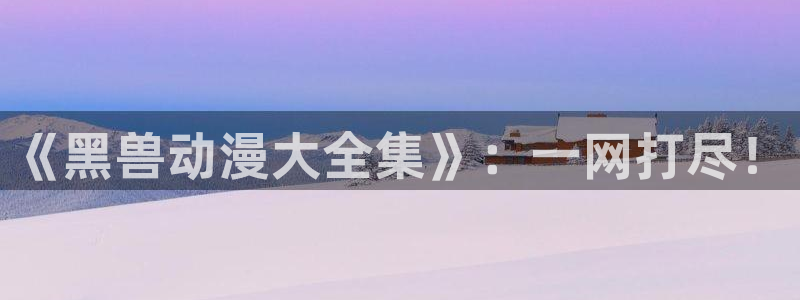 哈哩哈哩6：《黑兽动漫大全集》：一网打尽！